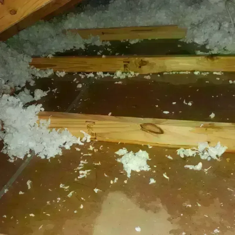 Attic Water Damage in Athens, IL